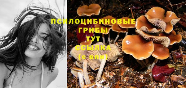 марихуана Приозерск