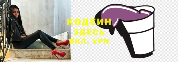 амф Бородино