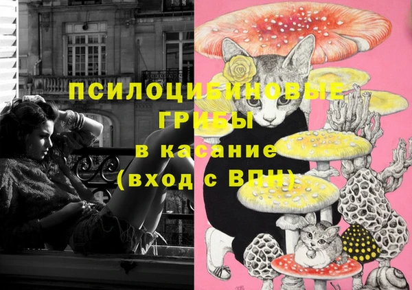 твердый Пролетарск