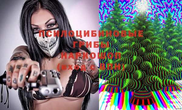 прущая мука Верея