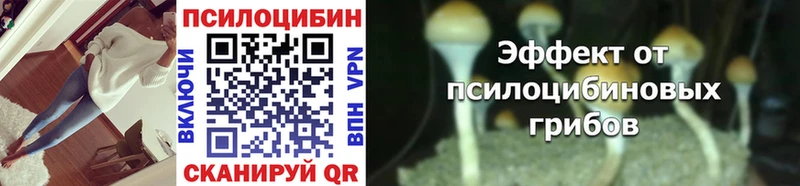 Псилоцибиновые грибы Cubensis  Нолинск 